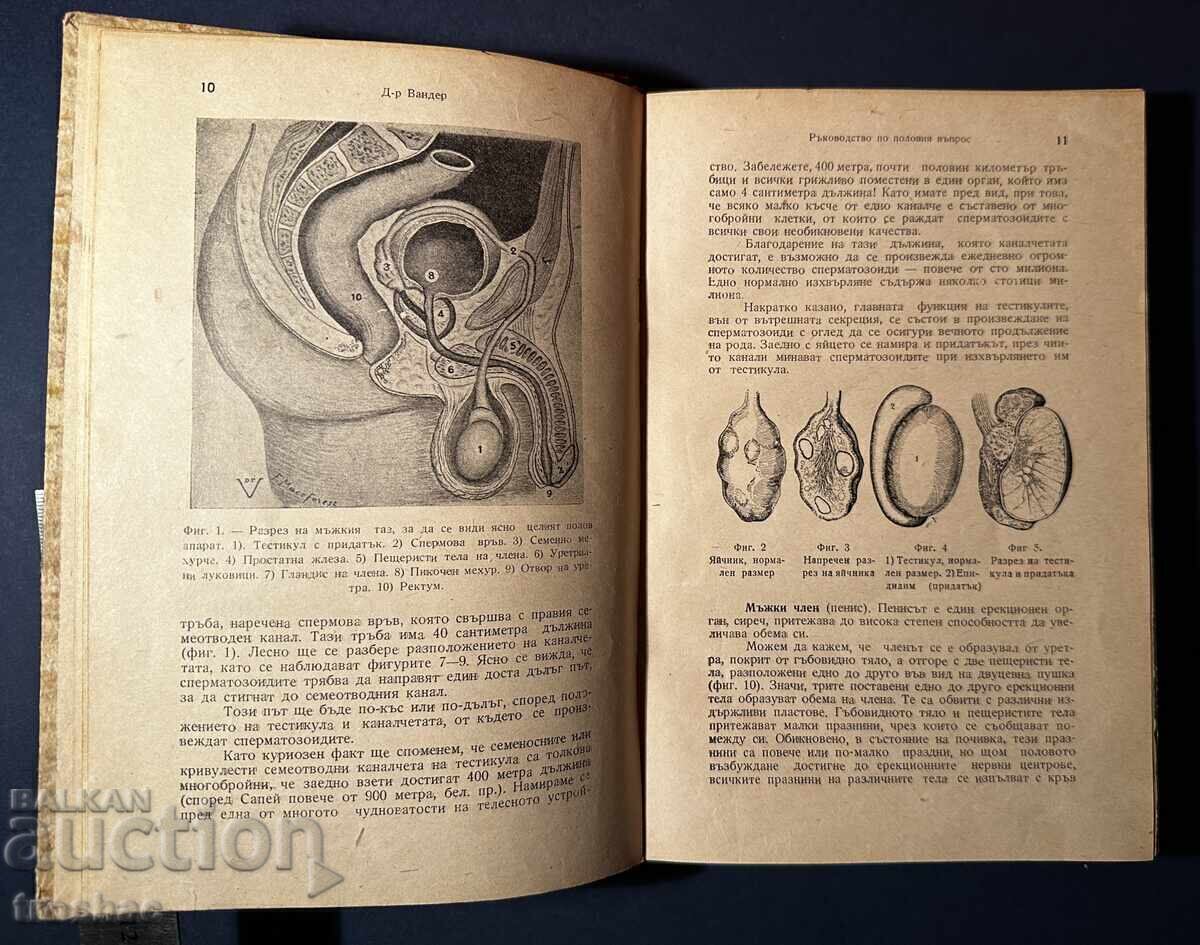 Old Book Guide to the Sexual Question Dr. Vander 1946 - 7 Old Book Guide to the Sexual Question Dr. Vander 1946 - 7
