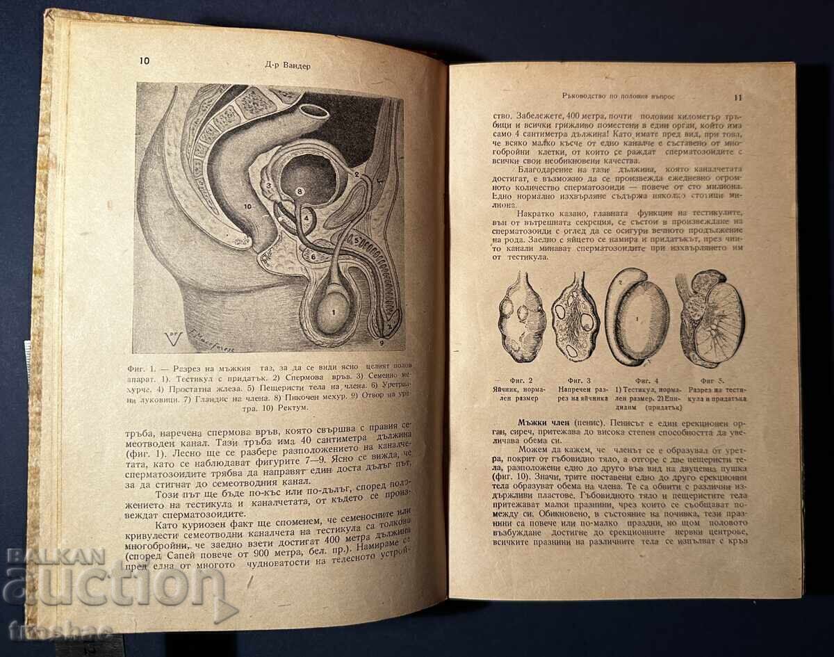 Old Book Guide to the Sexual Question Dr. Vander 1946 - 7 Old Book Guide to the Sexual Question Dr. Vander 1946 - 7