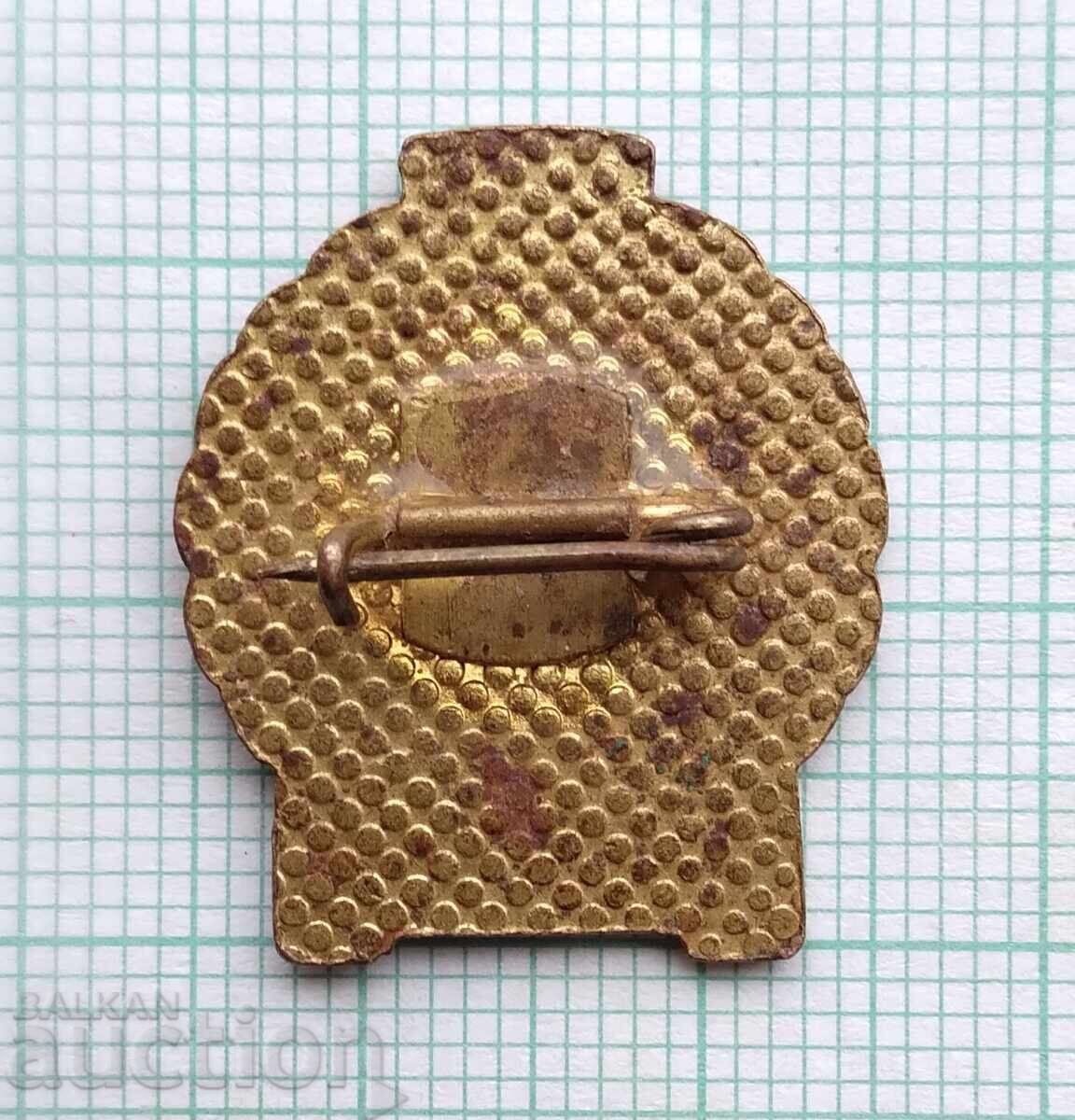 Auction  18535 Badge - VSK Narodna Strazh MVR - bronze