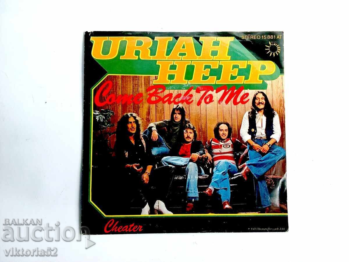 Μικρό δίσκο βινυλίου