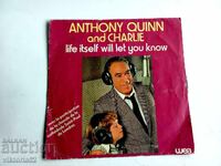 Μικρό δίσκο βινυλίου