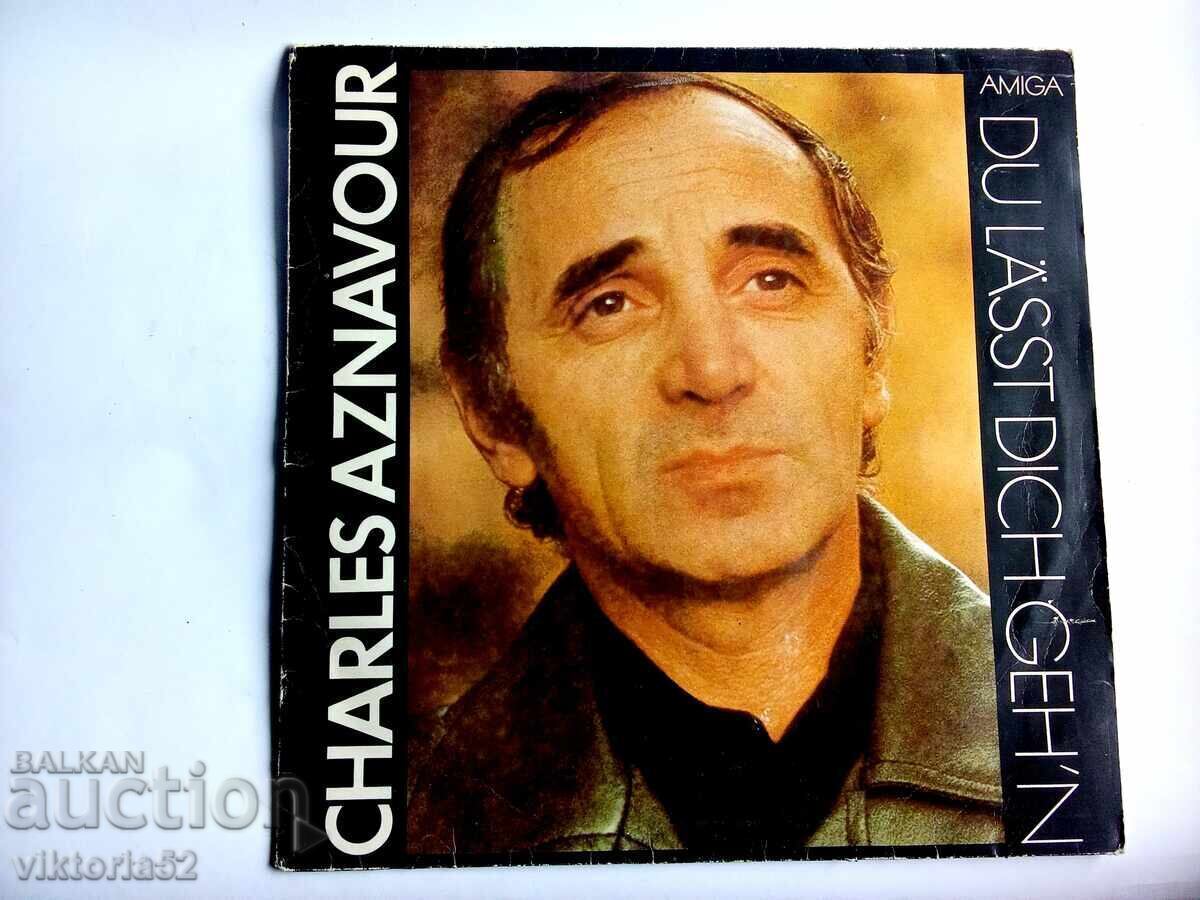 Μεγάλο δίσκος βινυλίου Μεγάλο δίσκος βινυλίου