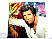 Голяма грамофонна плоча