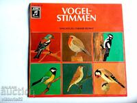 Голяма грамофонна плоча