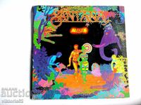 Голяма грамофонна плоча