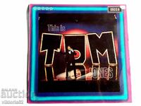 Μεγάλο δίσκος βινυλίου