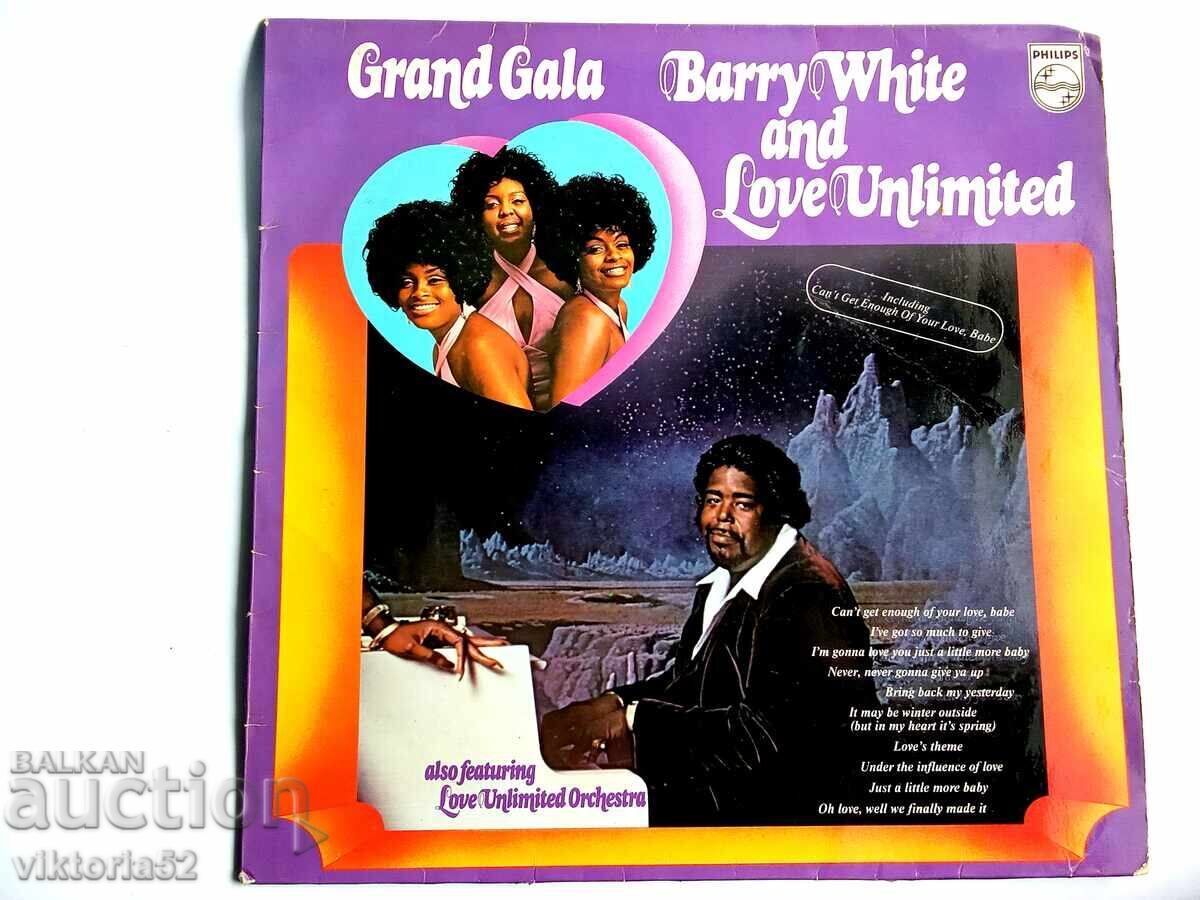 Μεγάλο δίσκος βινυλίου