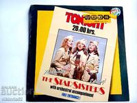 Μεγάλο δίσκος βινυλίου