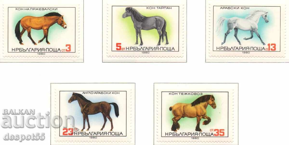 1980. Βουλγαρία. Φυλές αλόγων 1980. Βουλγαρία. Φυλές αλόγων