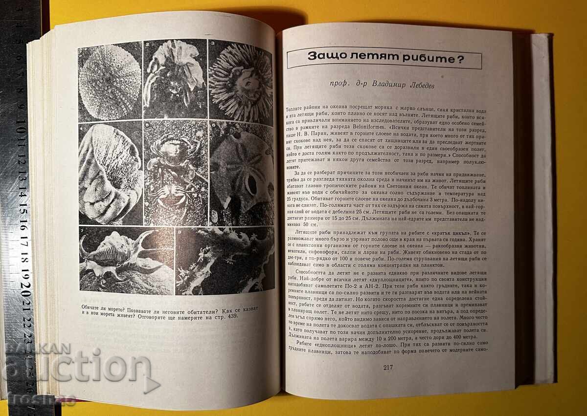 Old Book Spectrum 73 / Elena Kolarova - 5 Old Book Spectrum 73 / Elena Kolarova - 5