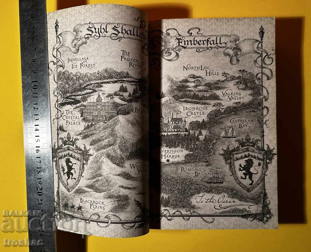 Δημοπρασία Παλιό Βιβλίο Σφυρήλατο σε Ασήμι σε Αστέρια / Μπρίγκιντ Κέμμερερ