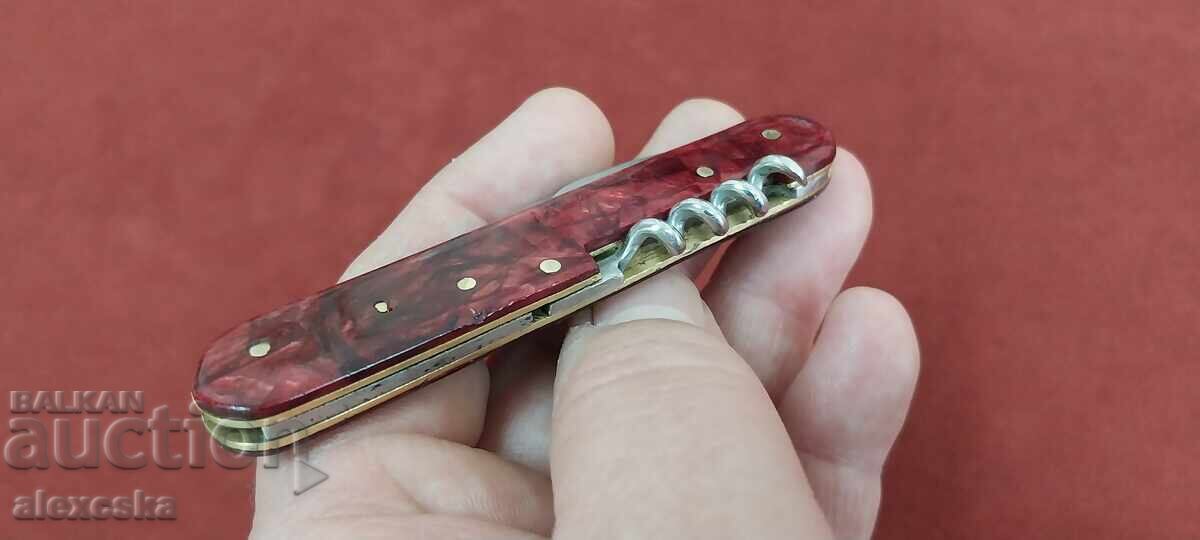 Κοινωνικό μαχαίρι αγκάθι - 5