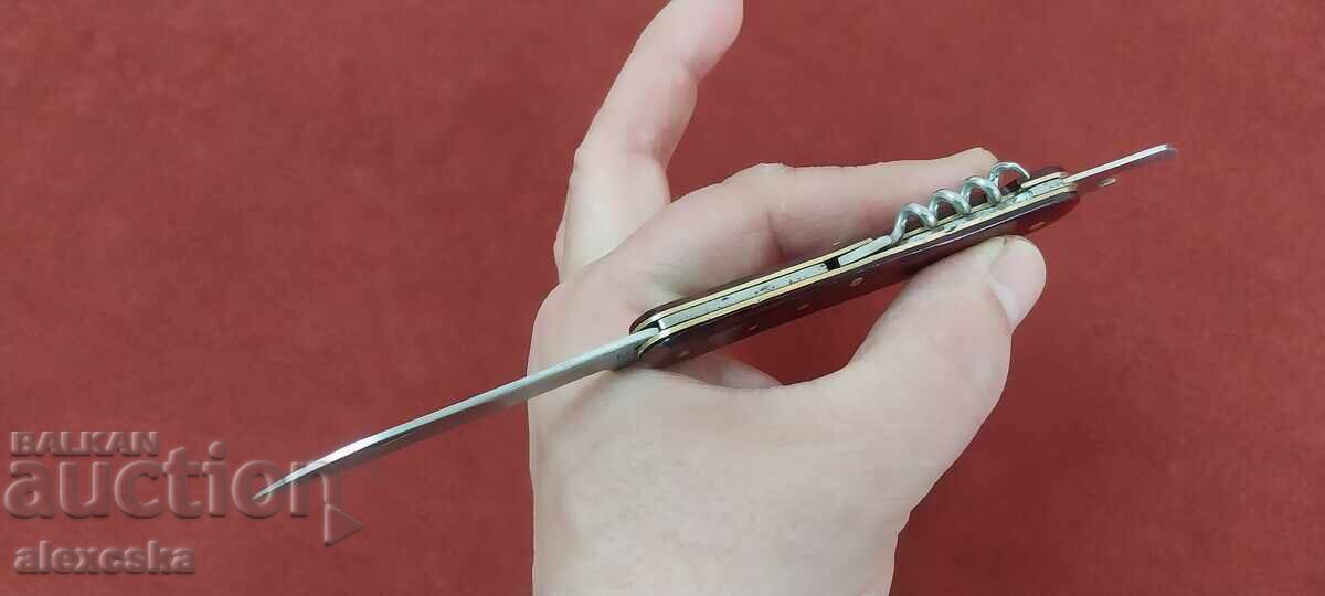 Κοινωνικό μαχαίρι αγκάθι - 7