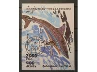 Madagascar Fauna/Fish