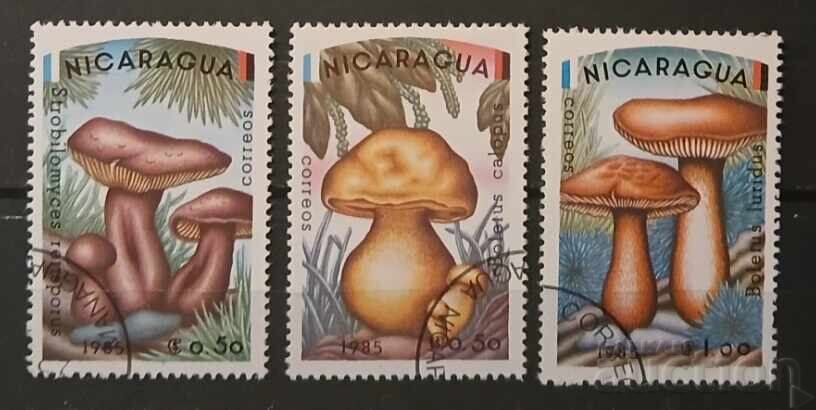 Никарагуа Флора/Гъби Никарагуа Флора/Гъби