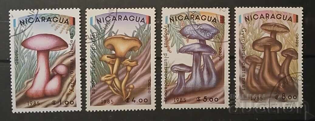 Nikaragua Flora/Ciuperci