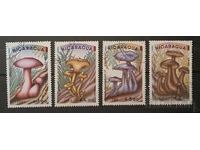 Nikaragua Flora/Ciuperci