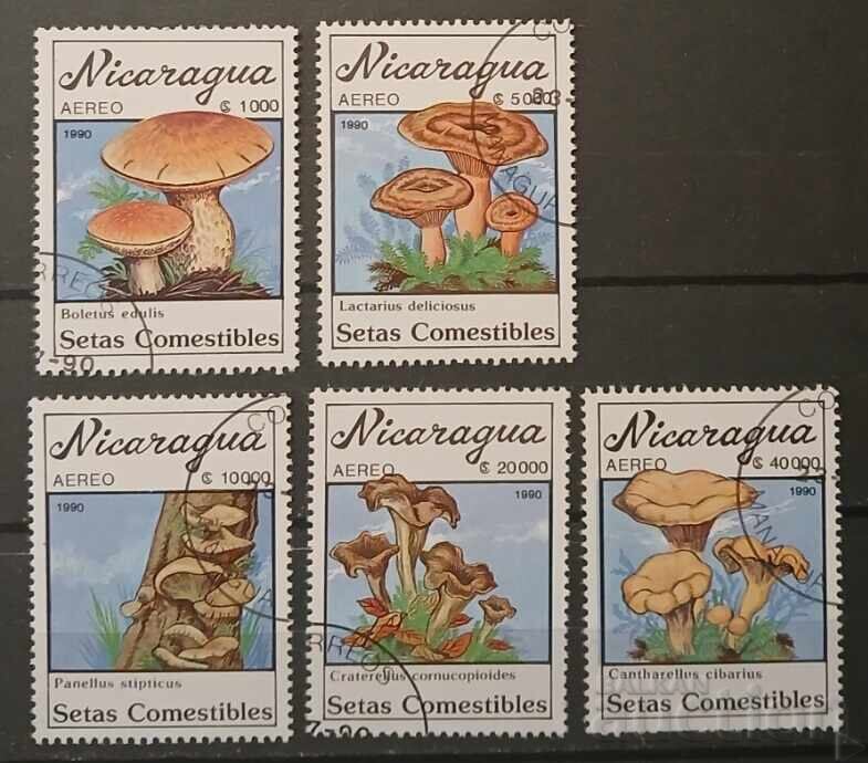 Νικαράγουα Φλόρα/Μύκητες