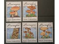 Nikaragua Flora/Ciuperci