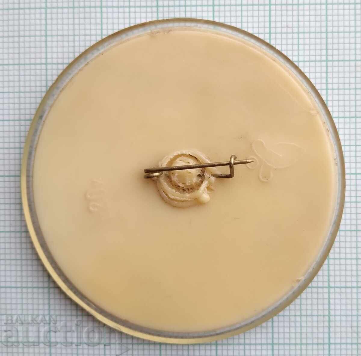 Auction  18571 Badges - Arnold Schwarzenegger