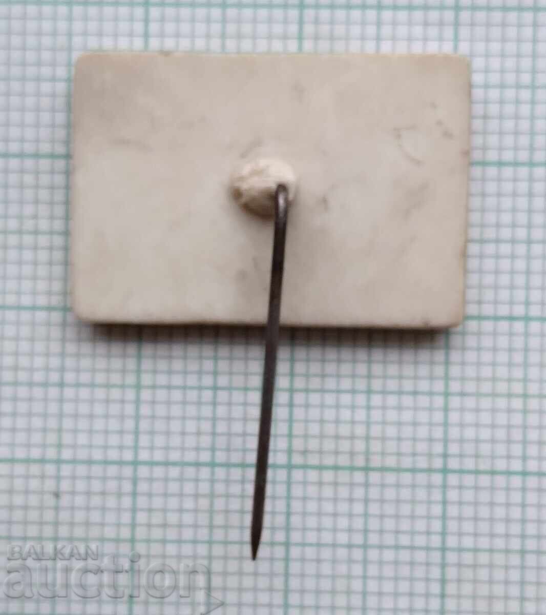 Licitație 18582 Insigna - Mănăstirea Bačkovo Licitație 18582 Insigna - Mănăstirea Bačkovo