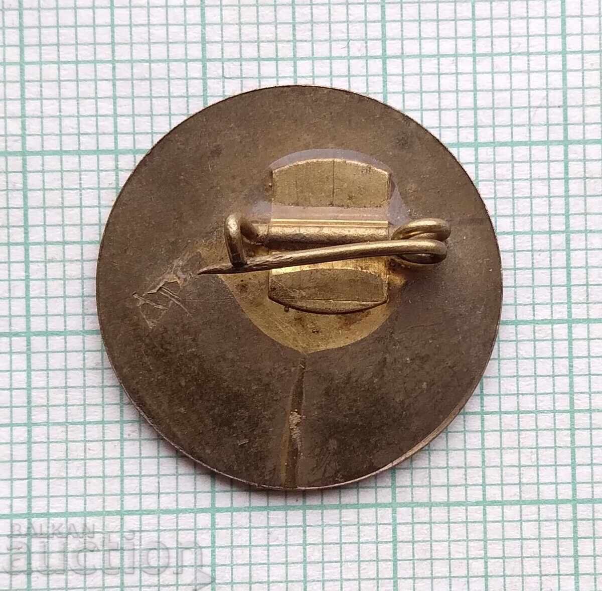 Auction  18584 Pioneer Organization - We Learn, Build, and Watch