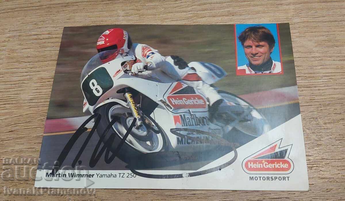 Auction  Collector's Card