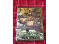 Turism de vânătoare în Bulgaria - bilingv