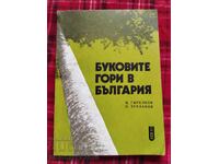 Δάση οξιάς στη Βουλγαρία