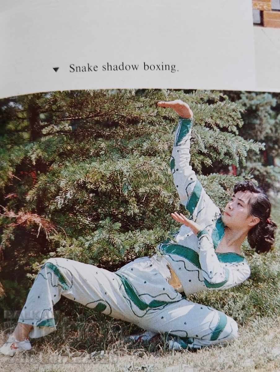 Delivery of Chinese Martial Arts Delivery of Chinese Martial Arts