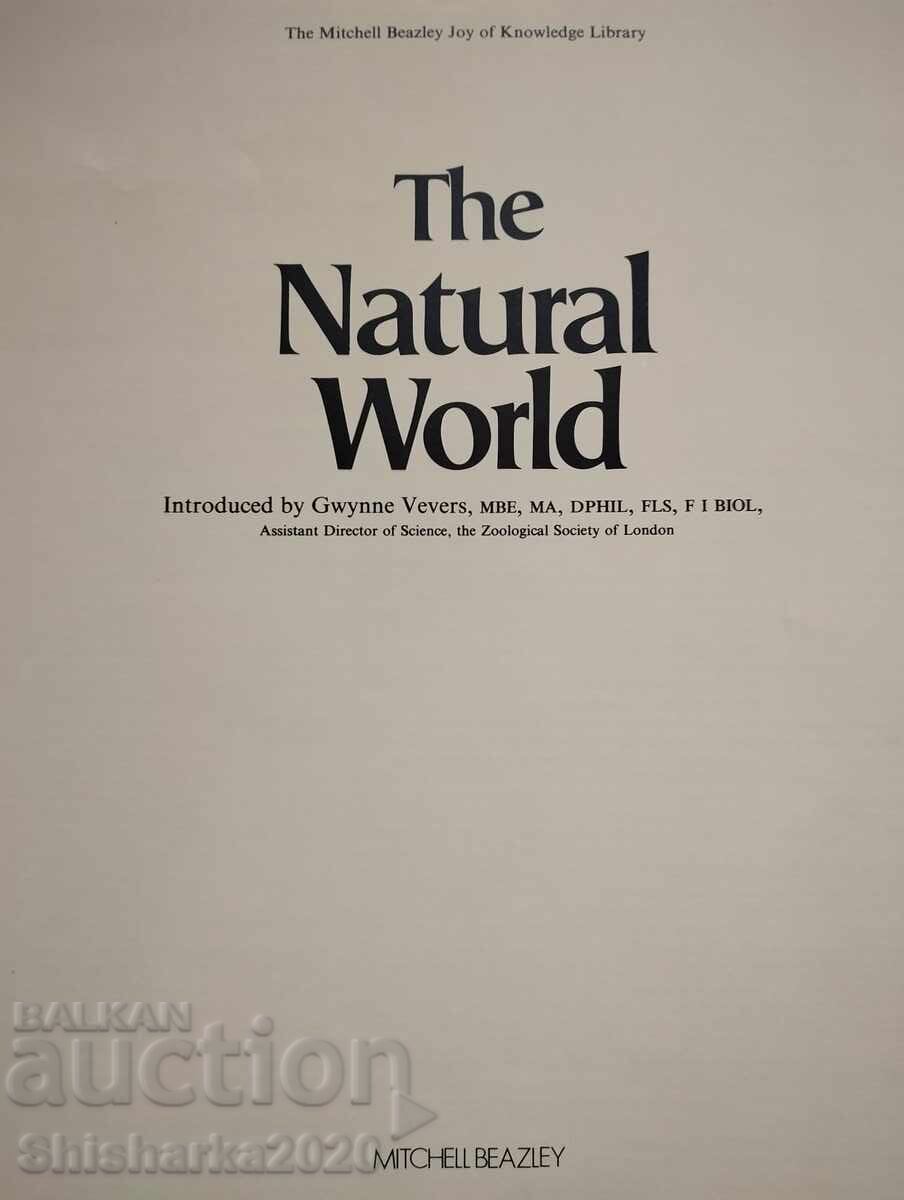 Auction  The Natural World