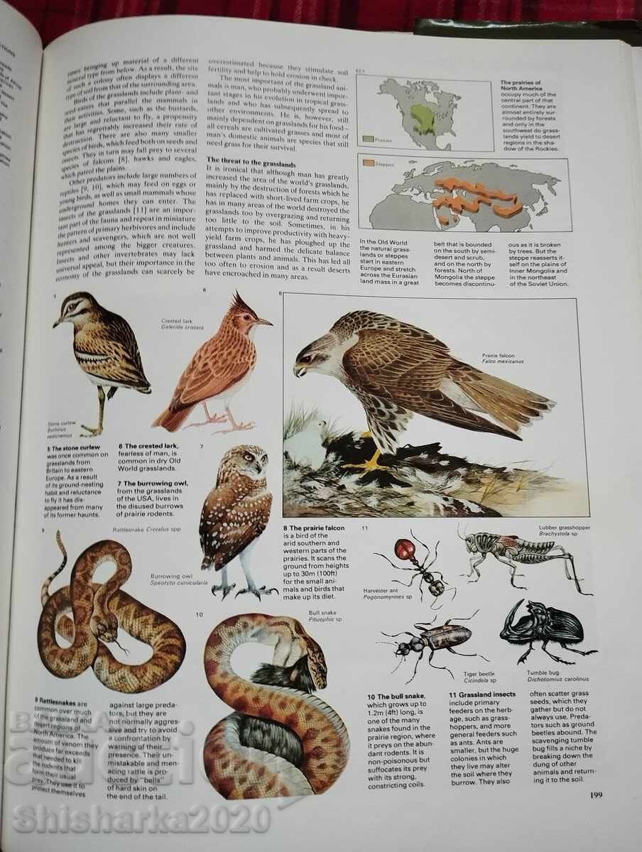 Delivery of The Natural World