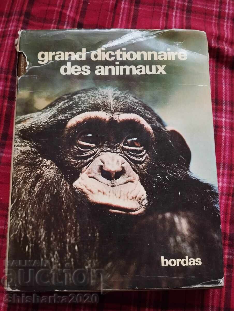 Large Dictionary of Animals