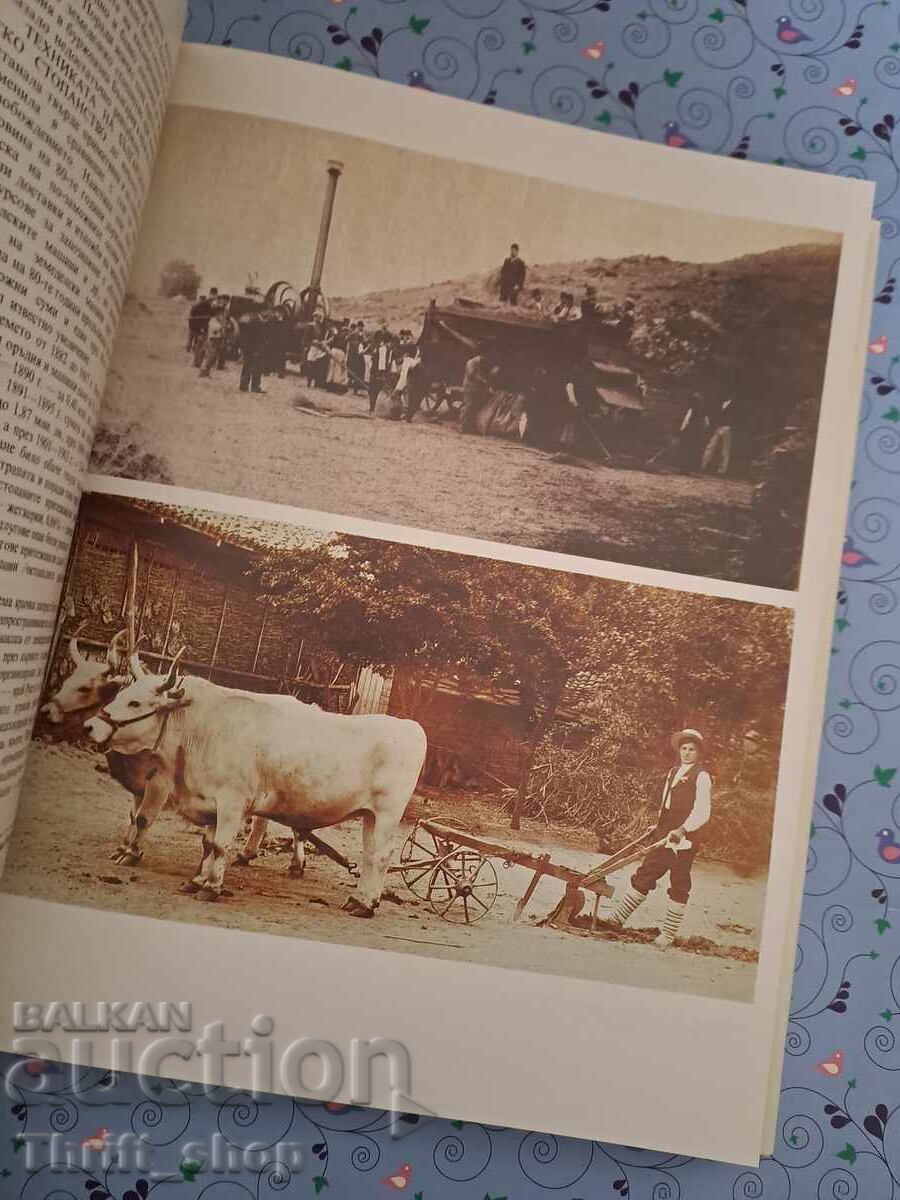 Livrarea NOU-NOUȚĂ!! Istoria Bulgariei volumul 7 - carte masivă