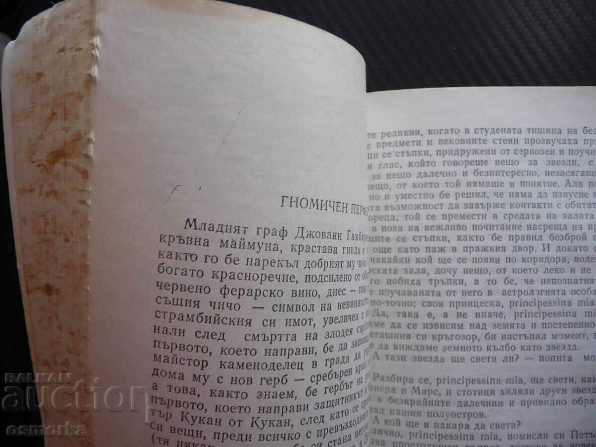 Licitație Reginele nu au picioare Vladimir Nef roman ceh proză cehă