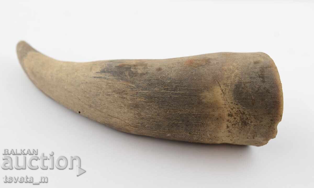 Corn gros pentru mânere cu preț 10.00 BGN | € 5.11 Corn gros pentru mânere cu preț 10.00 BGN | € 5.11