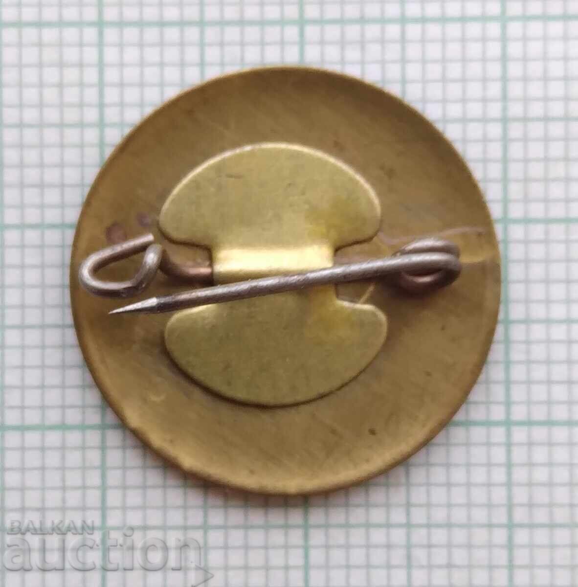 Auction  18611 Badges - Devnya TPP