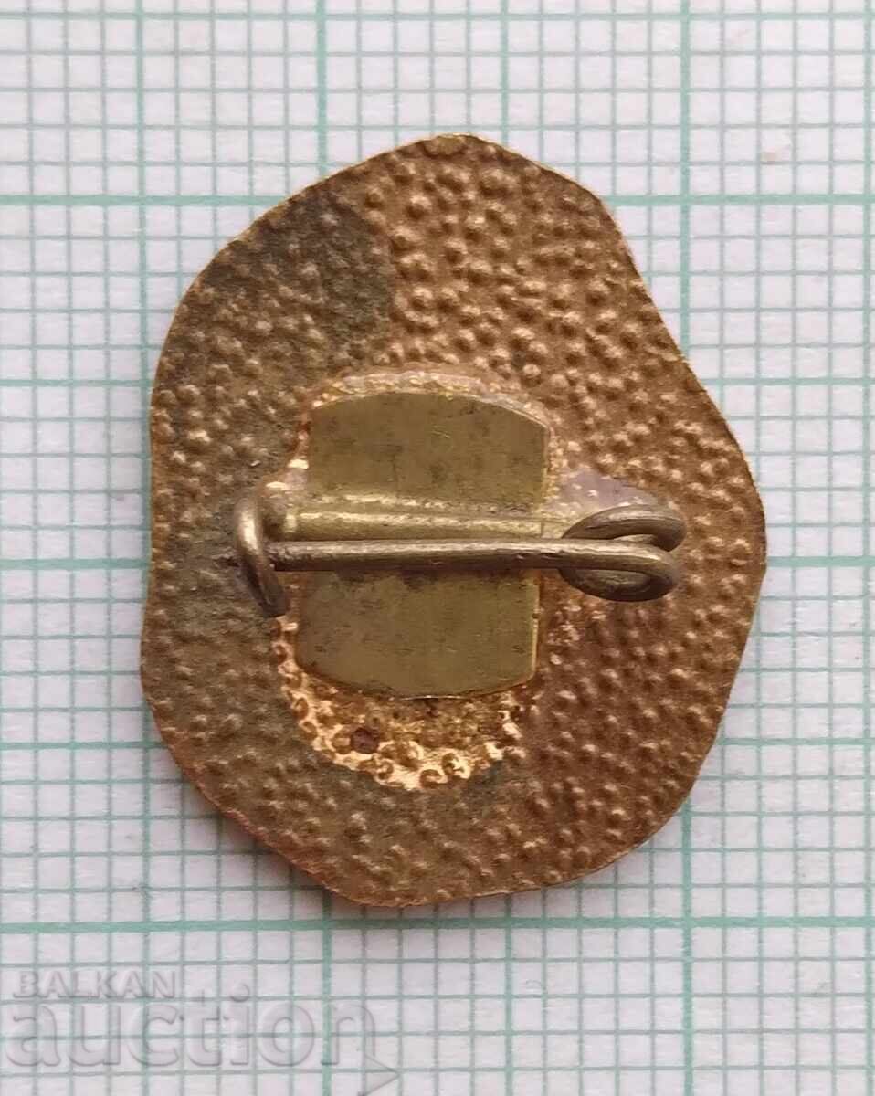 Licitație 18626 Insigna - Pleven - bronz email Licitație 18626 Insigna - Pleven - bronz email