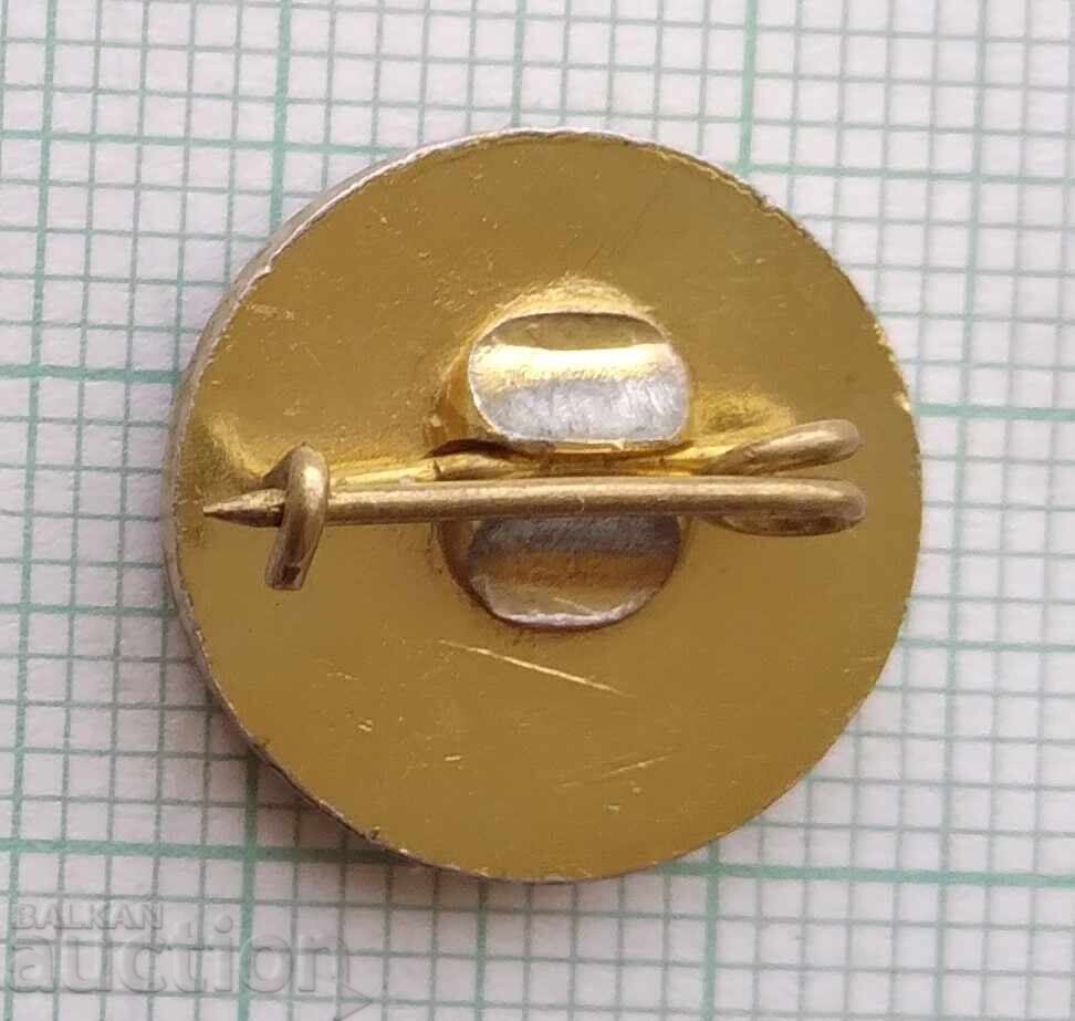 Auction  18632 Badges - 40 Years of Automotive Transport