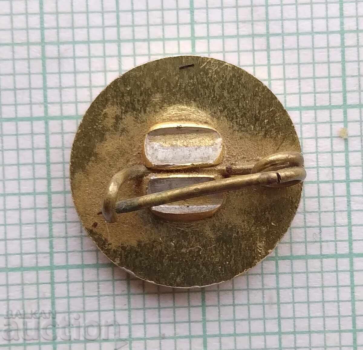 Licitație 18636 Insigna - 35 ani Transport Auto