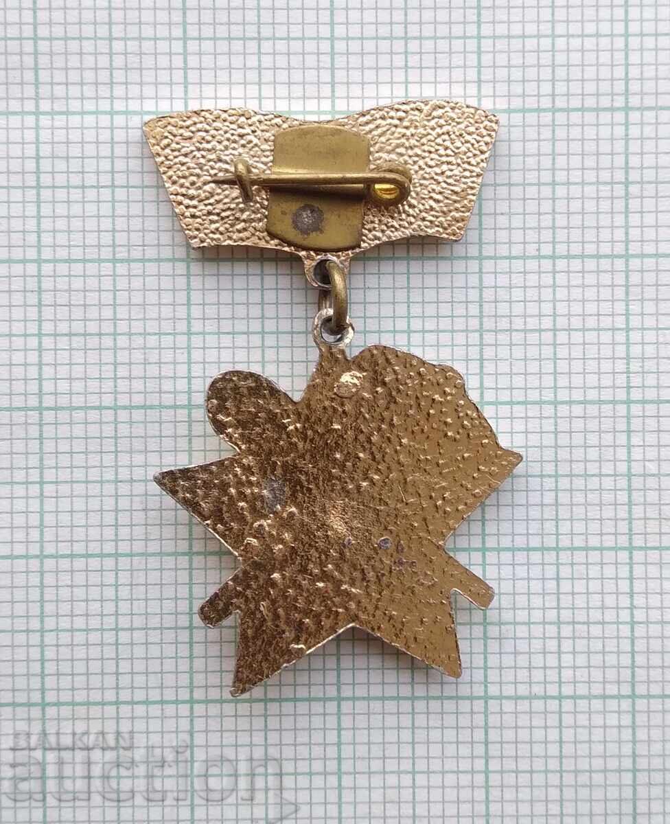 Auction 18646 Badges - Building for the Motherland Auction 18646 Badges - Building for the Motherland