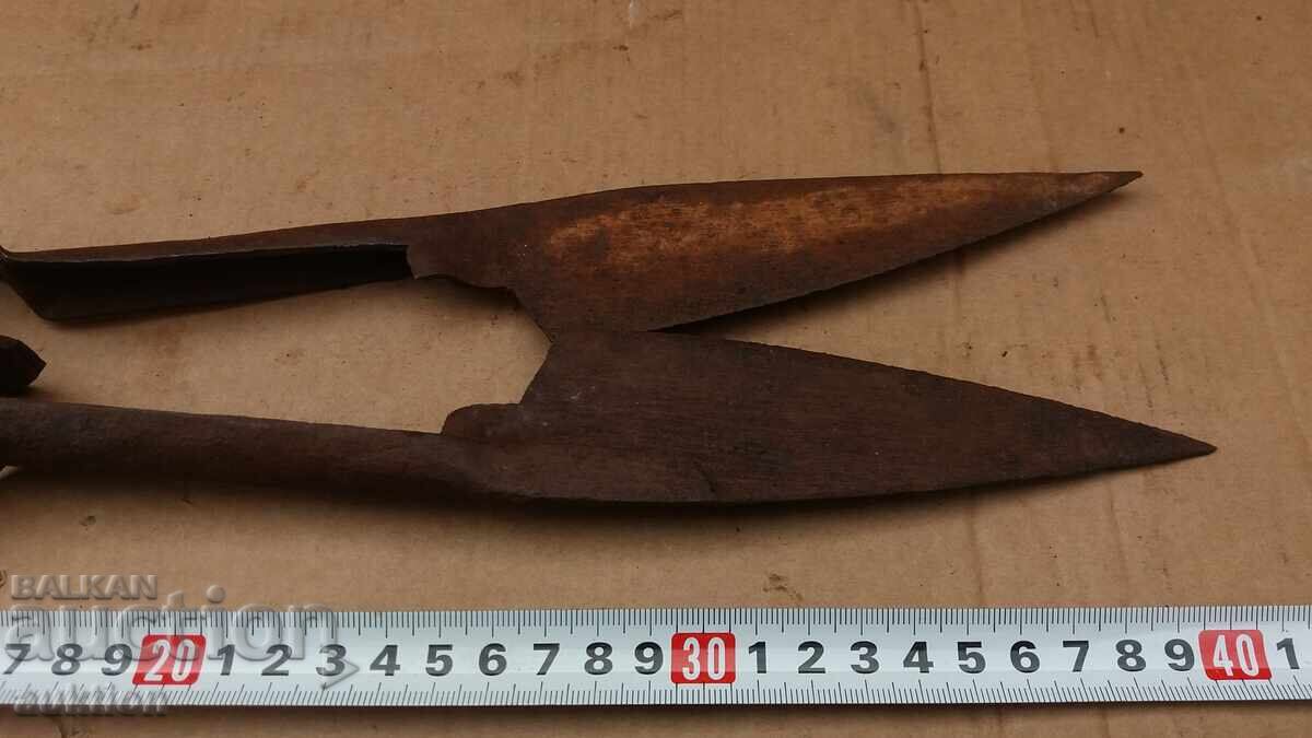 Delivery of OLD SHEEP SHEARS Delivery of OLD SHEEP SHEARS