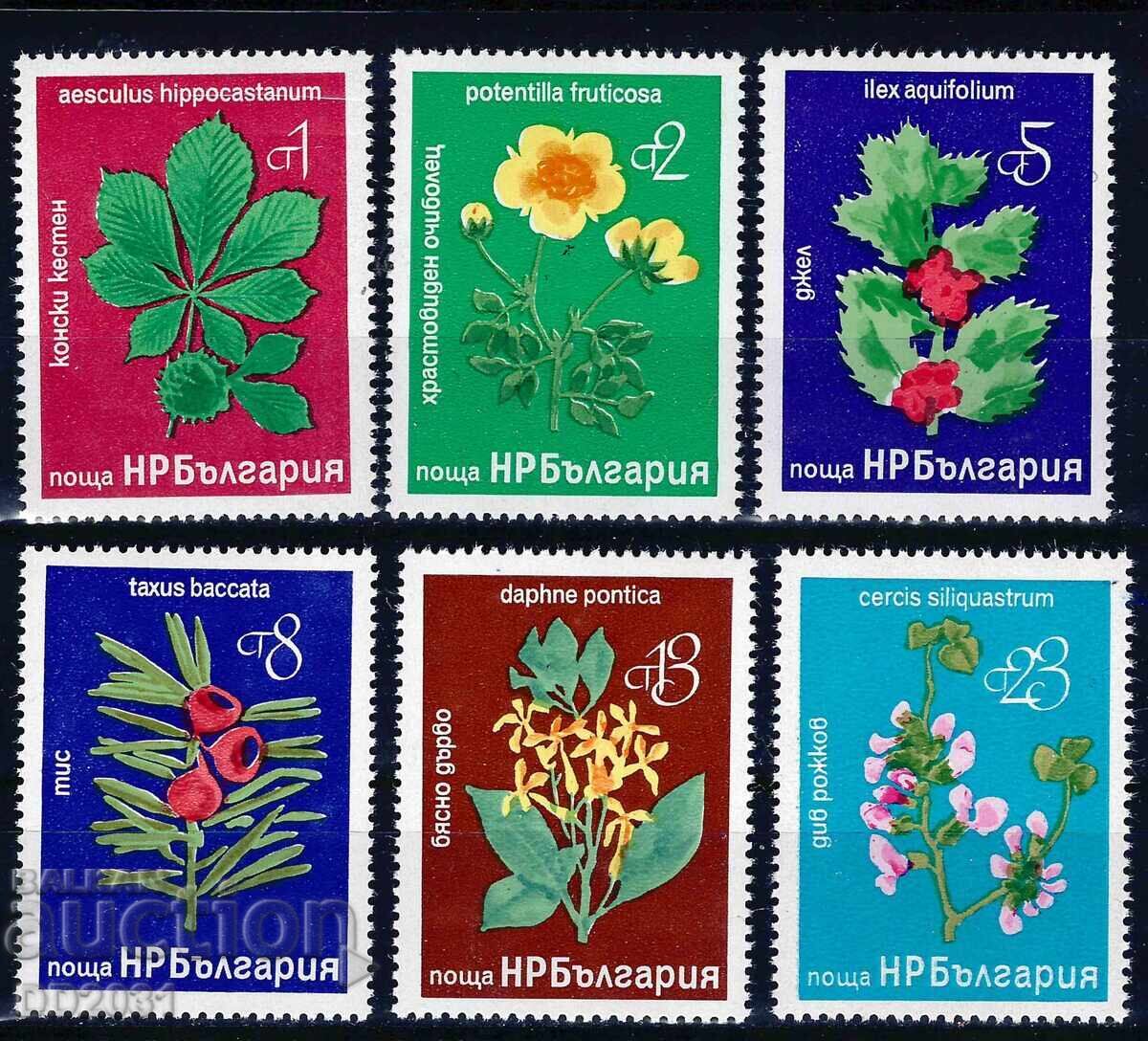 Bulgaria 1976 - flori MNH