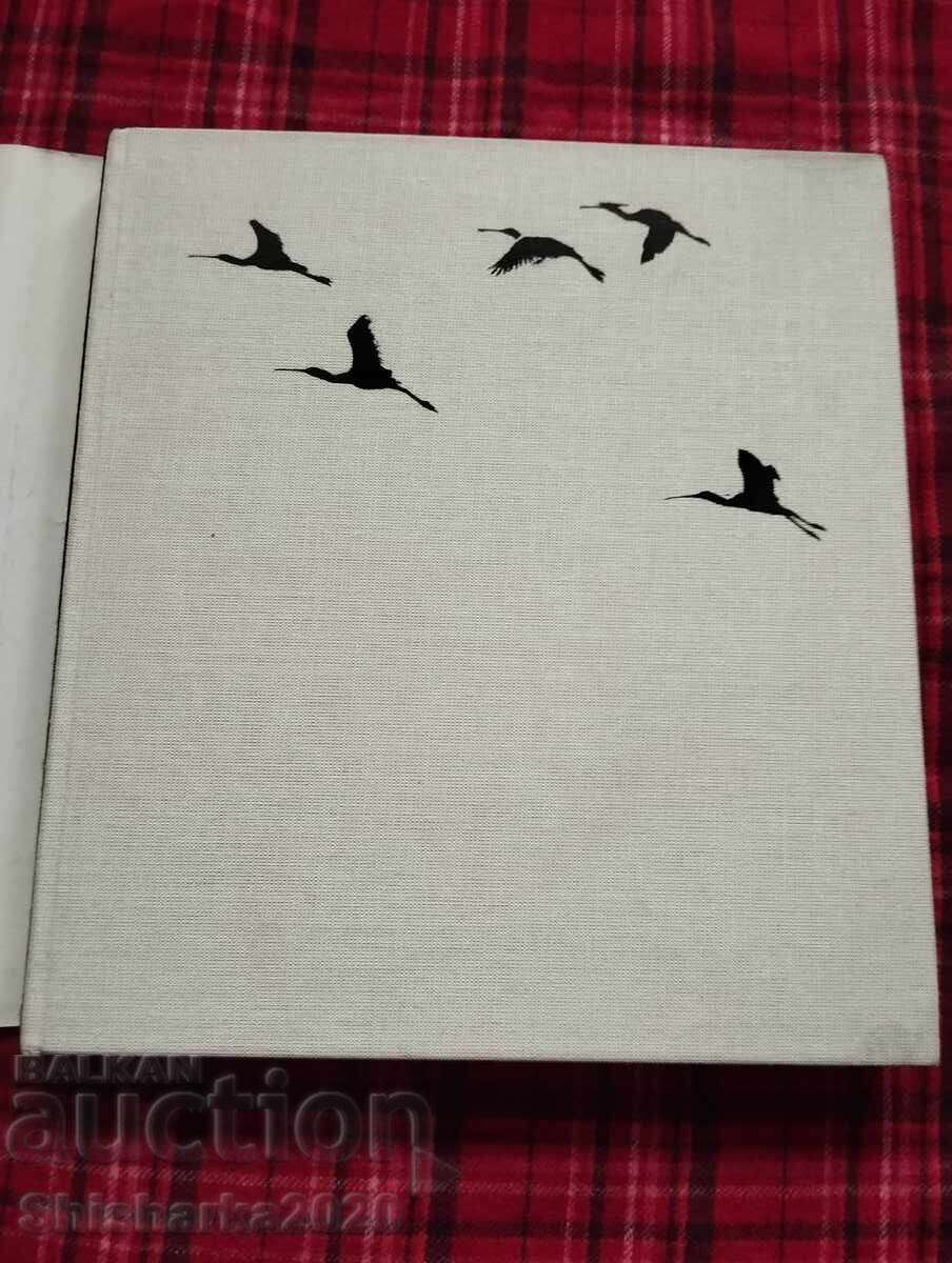 Fotografie pe niveluri cu preț 16.00 BGN | € 8.18