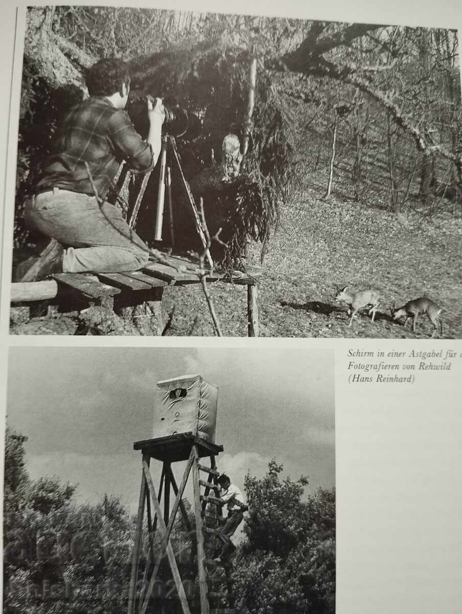 Fotografie pe niveluri - 5