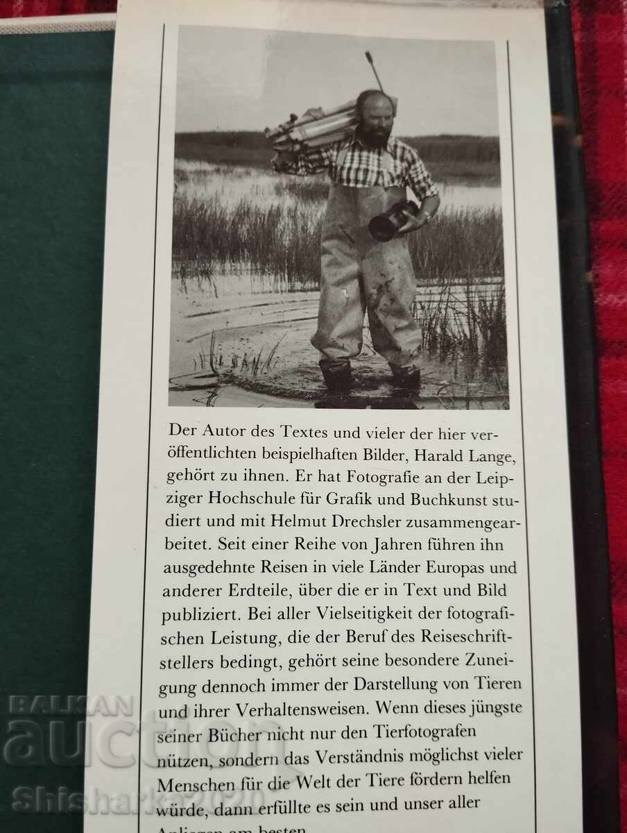 Fotografie pe niveluri - 6