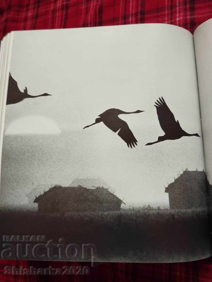 Fotografie pe niveluri - 7