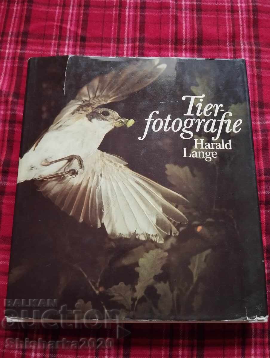 Fotografie pe niveluri