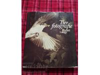 Fotografie pe niveluri