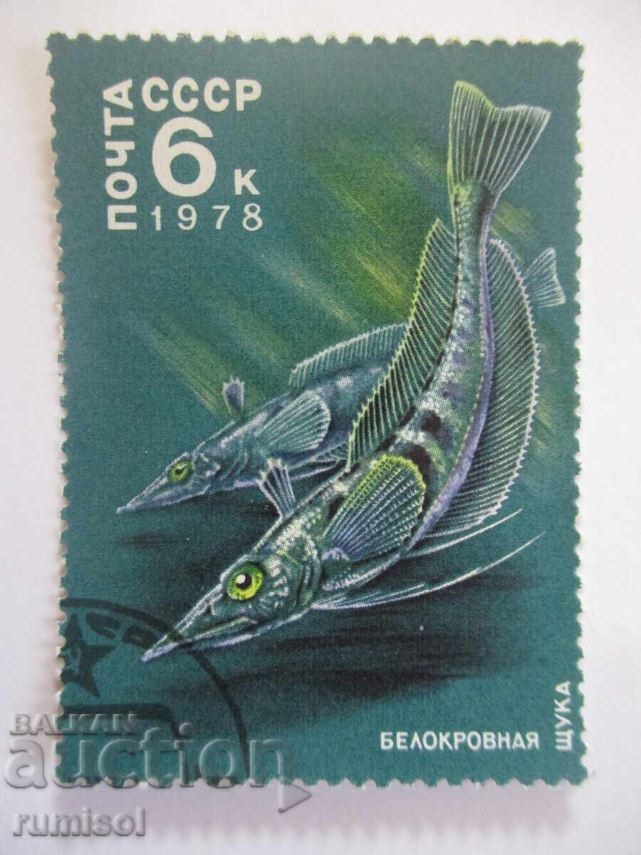 Пощенска марка - Белокровная щука